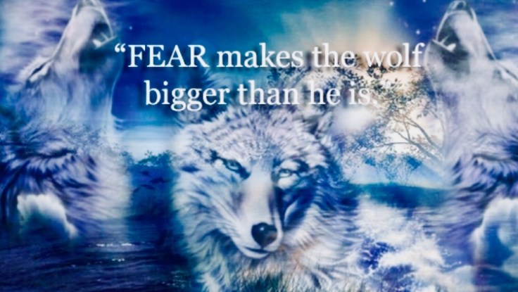 8F7A922C-7E08-41CB-BDB3-0285C7325626