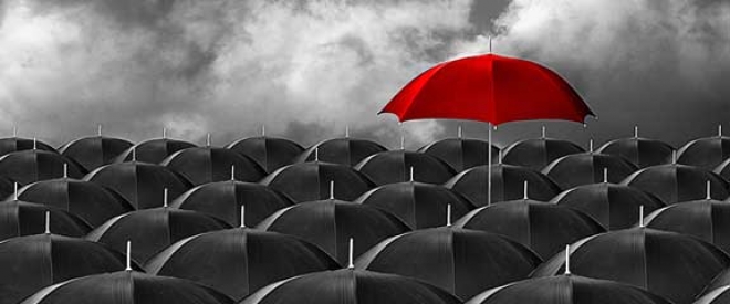 B50E43A4-830A-4F52-98FC-37CACF6C8788