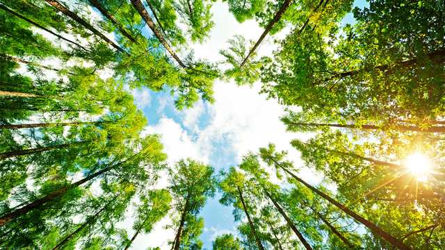 36007FB4-9BF6-4E12-BC5E-16DEB218BA21