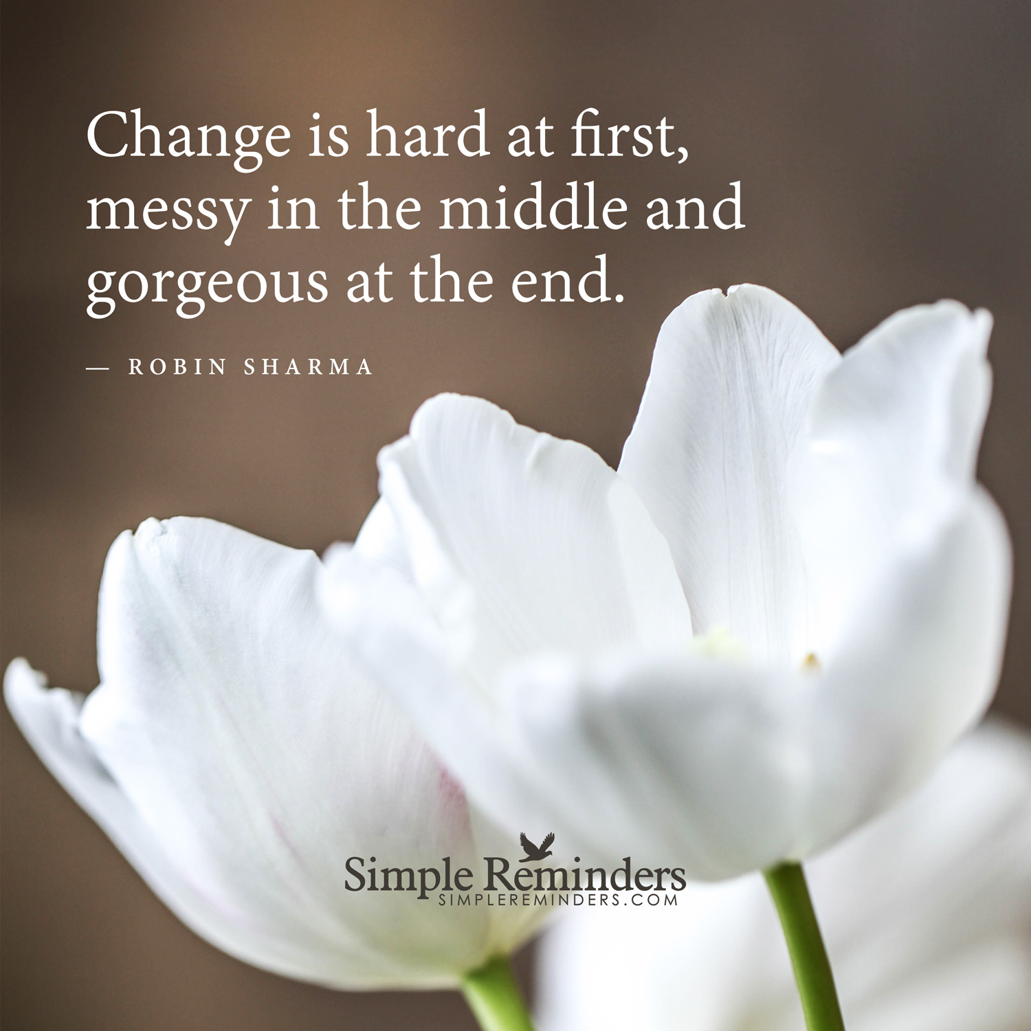 D2AD14F6-821D-4B45-8706-C19DE5CA92F6