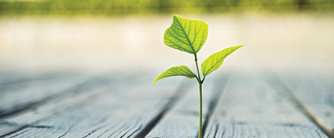 482817-Strength-through-adversity_banner