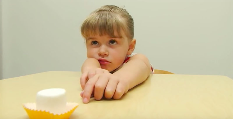 C14EA5D8-07CC-44C3-A023-D673B96E0814