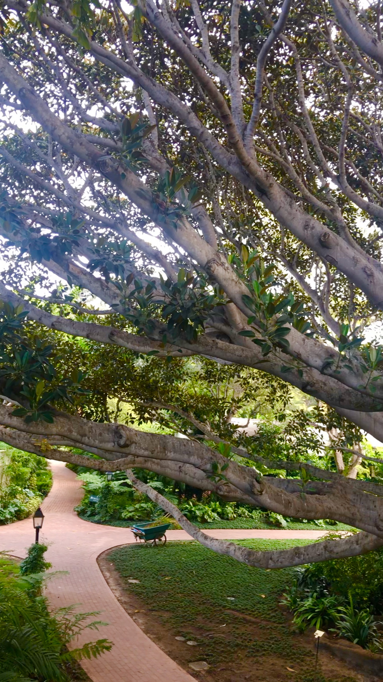 55F1EE2C-EE29-4758-915D-5050760195BC