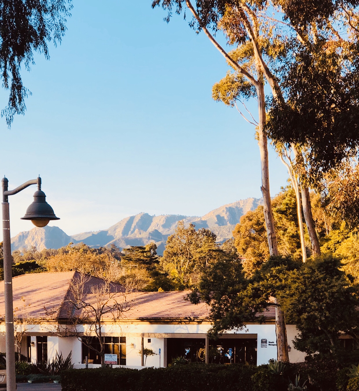 E7E89315-154F-4A8B-8B10-01DE6123826A