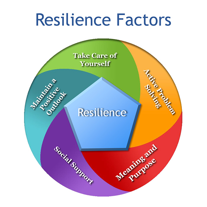 Dr. Andrea Dinardo Resilience