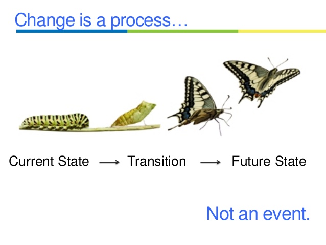 Change Quote DrAndreaDinardo.com.